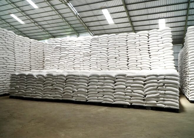 Indonesia Capai Swasembada Beras, Harga Global Anjlok