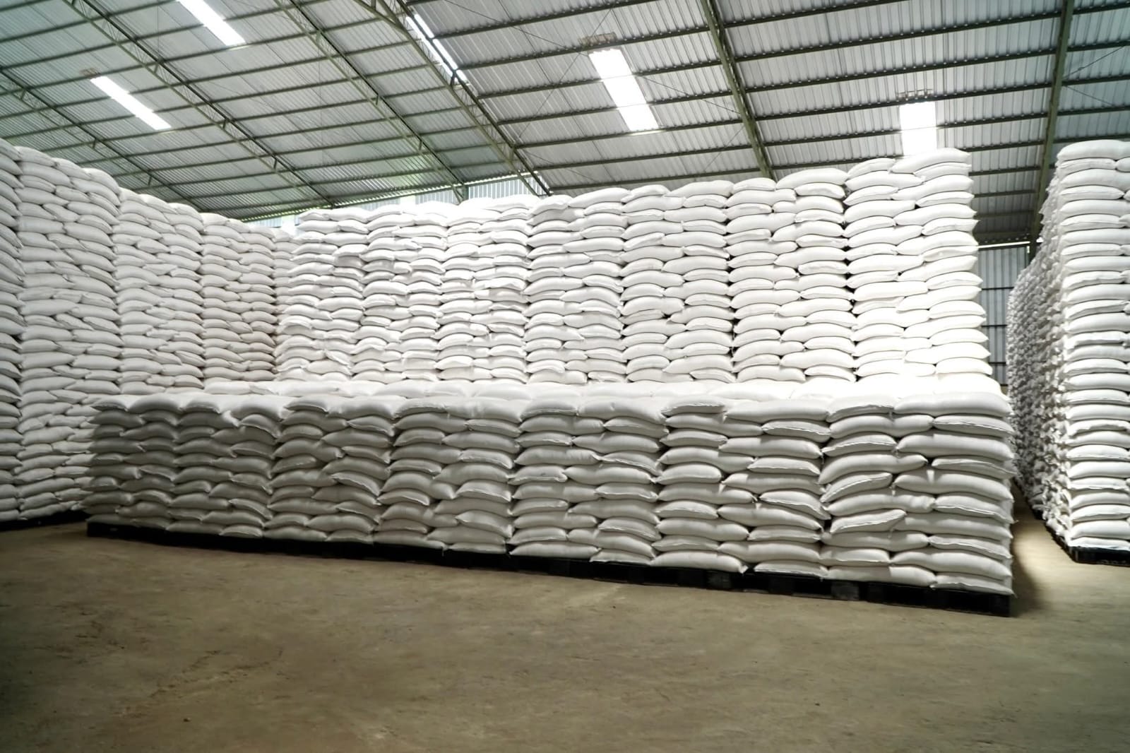 Indonesia Capai Swasembada Beras, Harga Global Anjlok