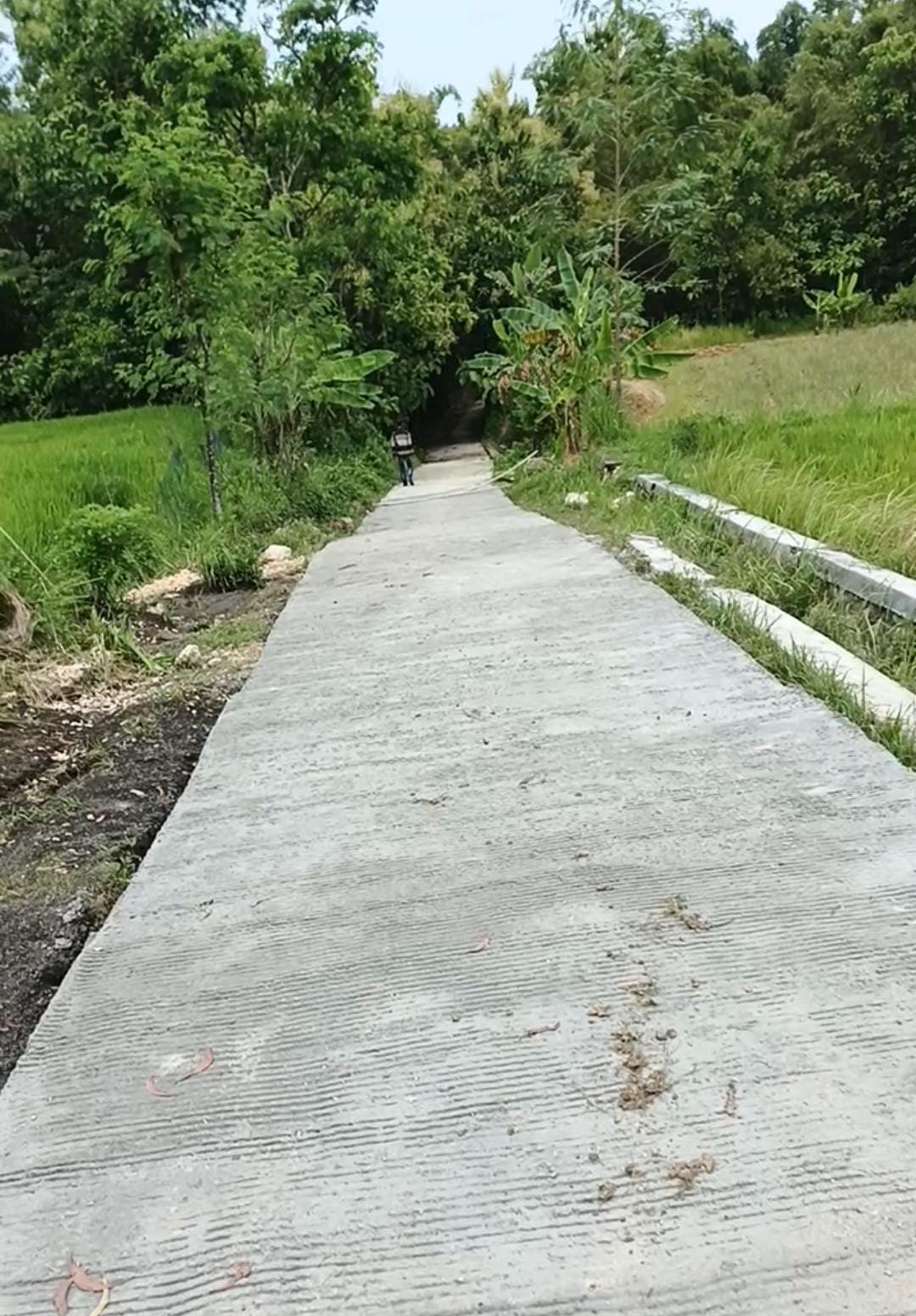 Pembangunan Dana Desa Baturasang Disorot: Diduga Tabrak Hasil Musdes dan Abaikan Pemerataan